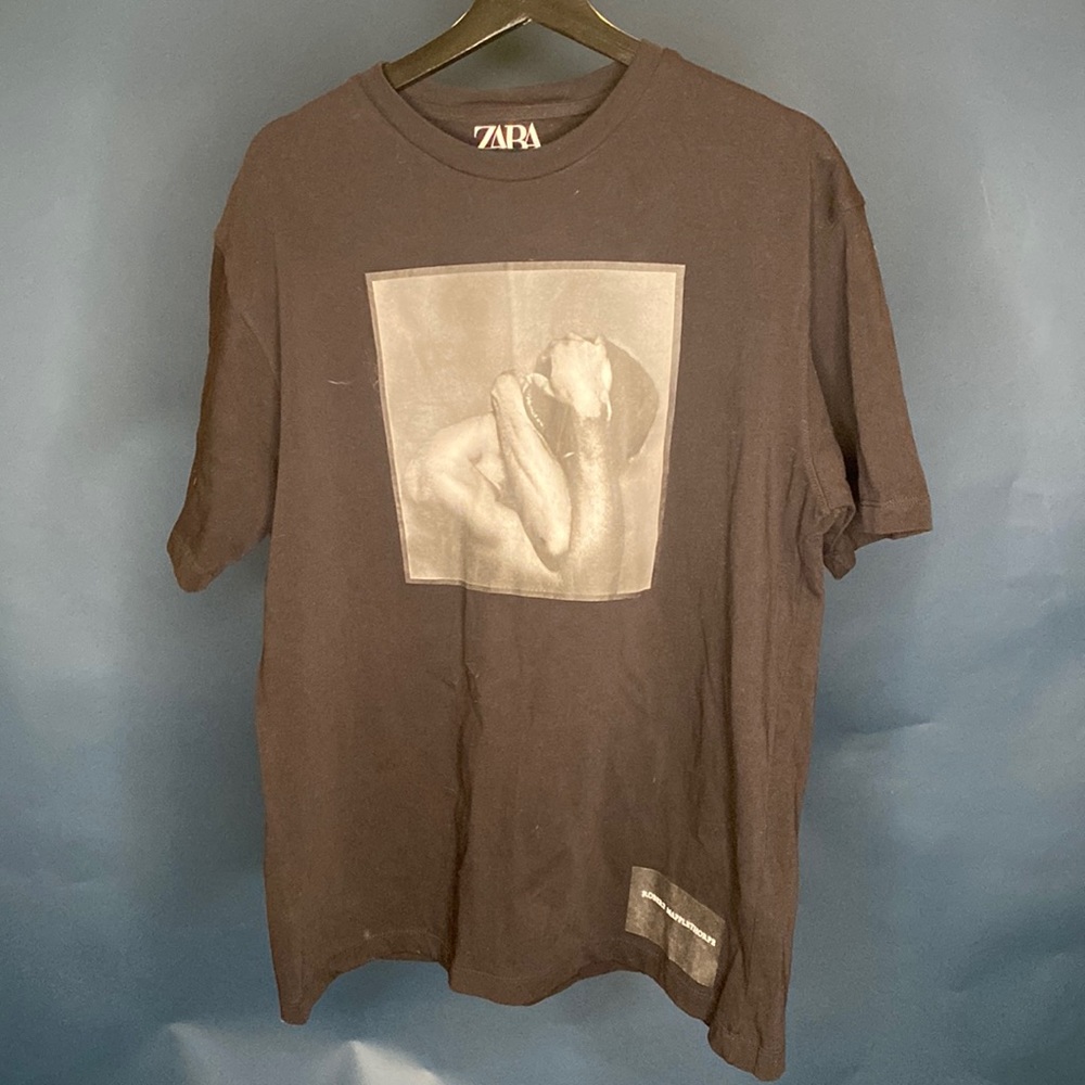 Zara Shirt
